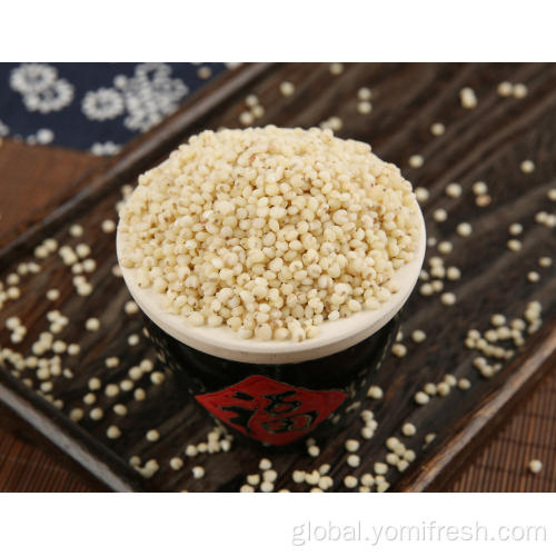 Sorghum Vs Quinoa Sorghum 25KG Manufactory